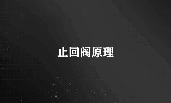 止回阀原理