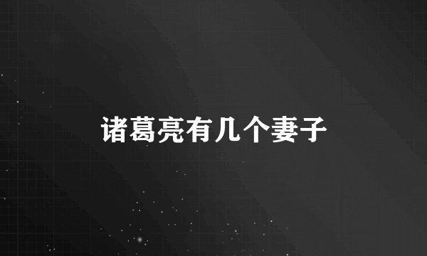诸葛亮有几个妻子