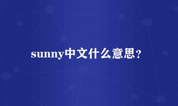sunny中文什么意思？