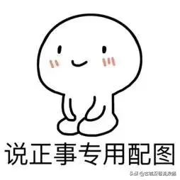 如何看待《武汉伢》?