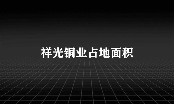 祥光铜业占地面积