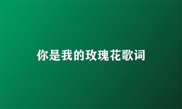 你是我的玫瑰花歌词