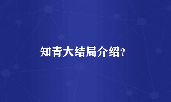 知青大结局介绍？