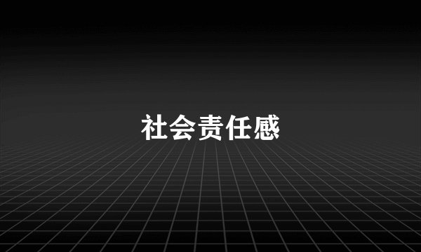 社会责任感