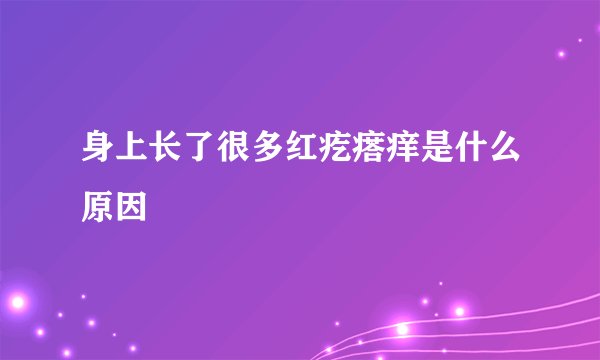 身上长了很多红疙瘩痒是什么原因