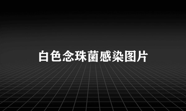 白色念珠菌感染图片