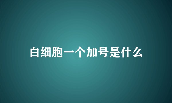 白细胞一个加号是什么