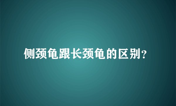 侧颈龟跟长颈龟的区别？