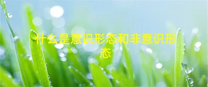 什么是意识形态和非意识形态