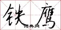 铁鹰