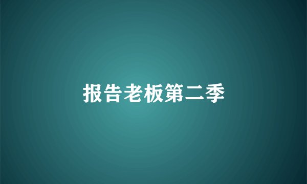 报告老板第二季