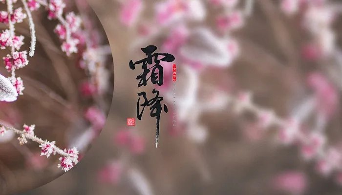 关于霜降时节的诗词