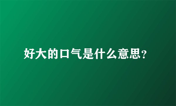 好大的口气是什么意思？