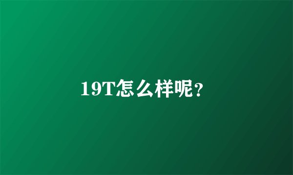 19T怎么样呢？