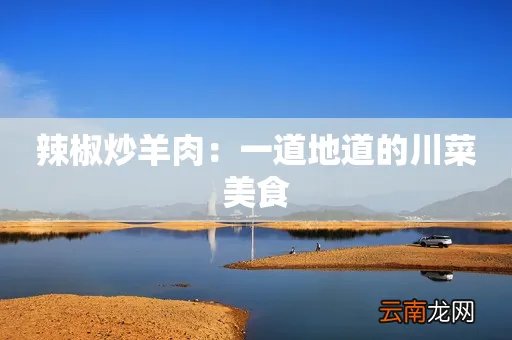 辣椒炒羊肉:一道地道的川菜美食