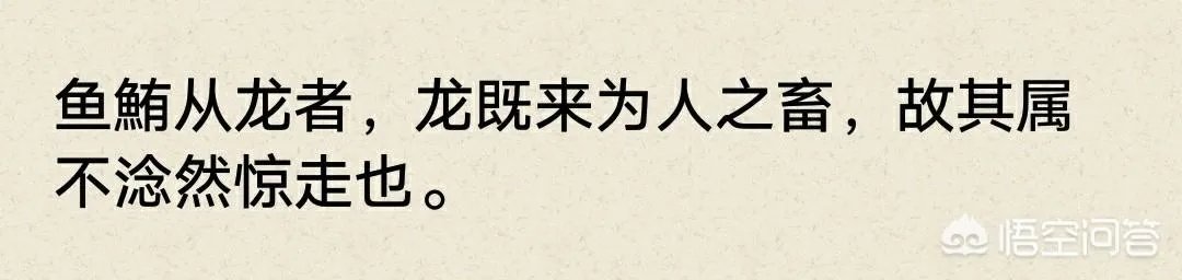 营口坠龙、松花江坠龙,为何历史上有那么多的坠龙事件?