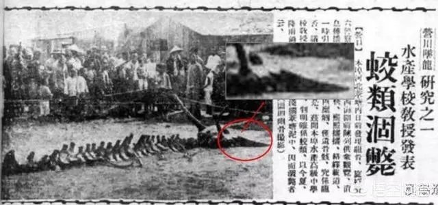 营口坠龙、松花江坠龙,为何历史上有那么多的坠龙事件?