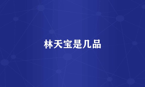 林天宝是几品