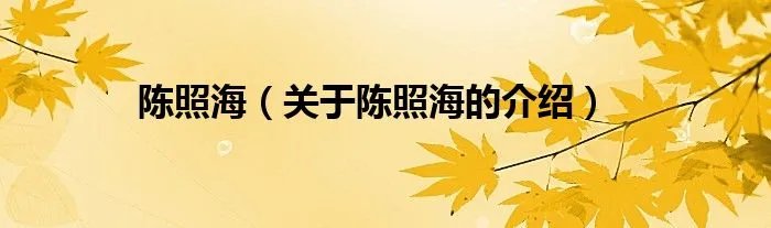 陈照海（关于陈照海的介绍）