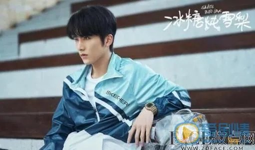 电视剧冰糖炖雪梨是小说改编的吗(张宏伟严义明)?