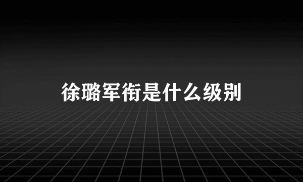 徐璐军衔是什么级别