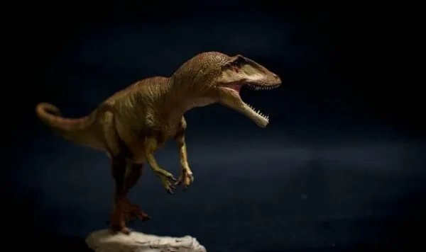 生物界第六次生物大灭绝会在什么时候发生，什么生物会灭绝？