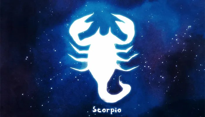 12星座专属宠物排名