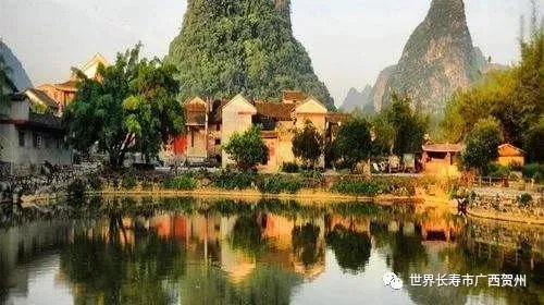 贺州最近的“桂台客家宗亲经济文化论坛”是怎么回事？