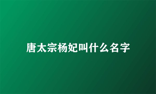 唐太宗杨妃叫什么名字