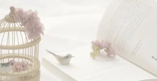 间质性肺纤维化怎么治疗好