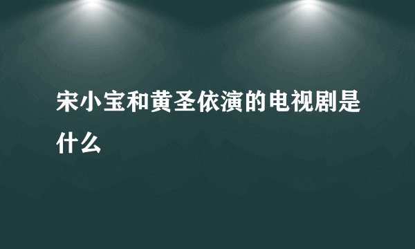 宋小宝和黄圣依演的电视剧是什么