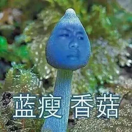蓝瘦，香菇是一个什么梗？