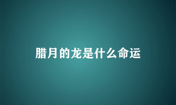 腊月的龙是什么命运