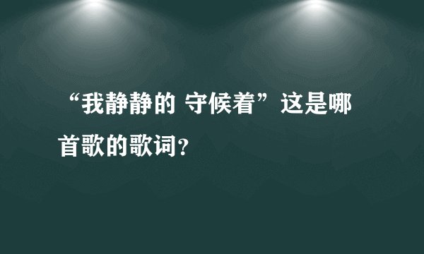 “我静静的 守候着”这是哪首歌的歌词？
