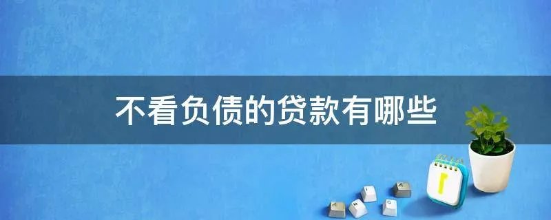 不看负债的贷款有哪些
