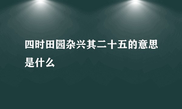 四时田园杂兴其二十五的意思是什么