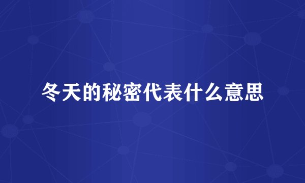 冬天的秘密代表什么意思