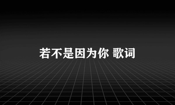 若不是因为你 歌词
