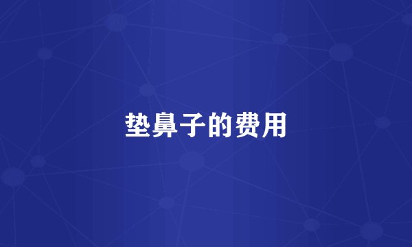 垫鼻子的费用