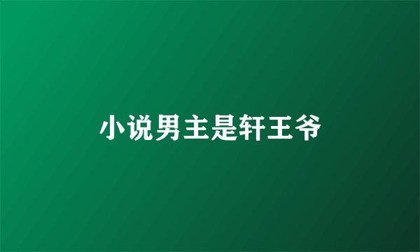 小说男主是轩王爷