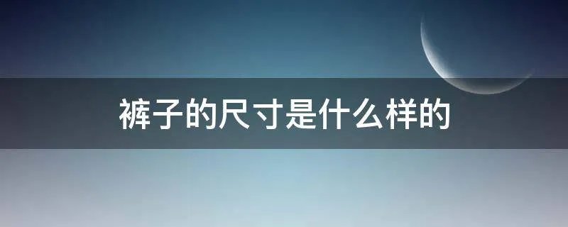 裤子的尺寸是什么样的