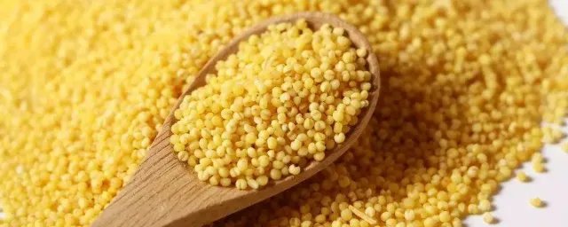 小米的营养价值及功效与作用