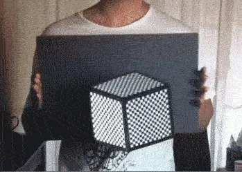 眼睛看到也不一定是真的 十大视觉错误图片