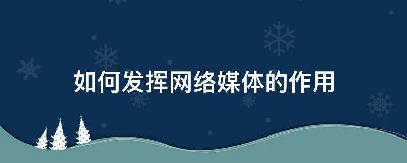 如何发挥网络媒体的作用