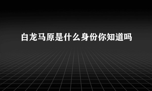 白龙马原是什么身份你知道吗