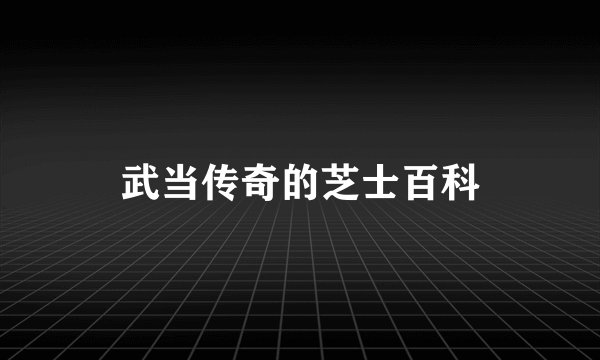 武当传奇的芝士百科