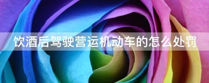 饮酒后驾驶营运机动车的怎么处罚