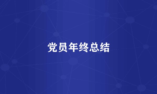 党员年终总结