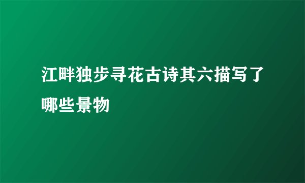 江畔独步寻花古诗其六描写了哪些景物