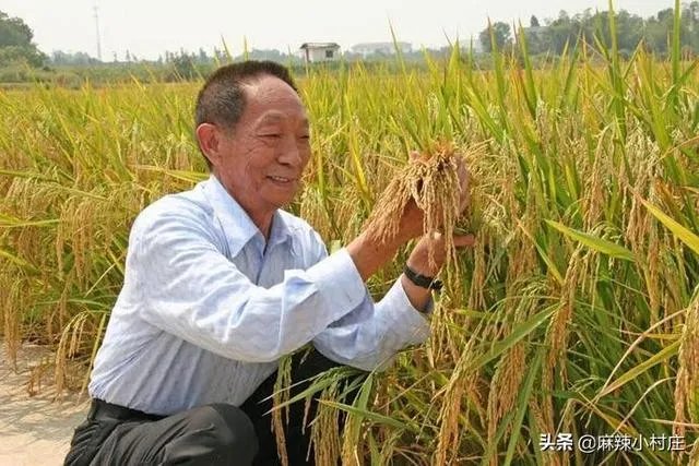 9月7日是袁隆平90岁生日，你想对他说一句什么话呢？